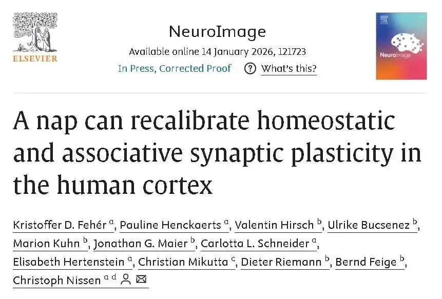 午睡，大脑健康